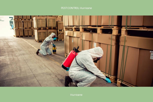 PEST CONTROL Hurricane